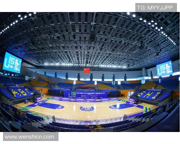 成都篮球队的崛起与挑战全景解析篮球巨献的背后故事